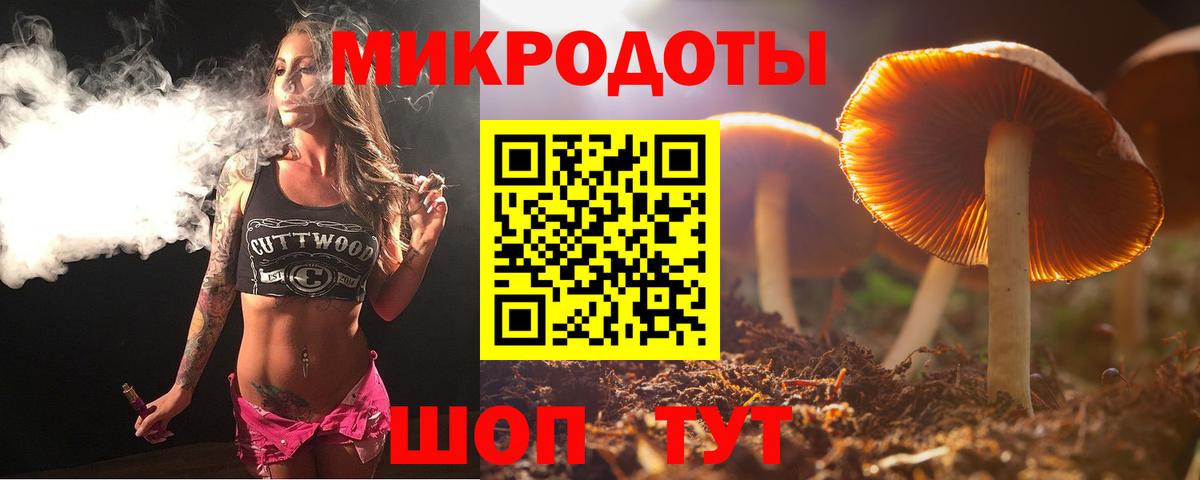 Будённовск  Галлюциногенные грибы GOLDEN TEACHER  Вход с VPN 